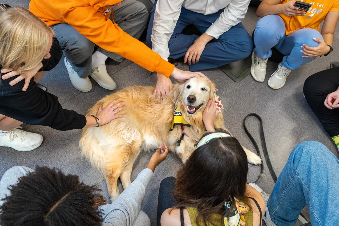 Students petting a dog during pet therapy.
